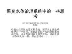 黑臭水體治理中的一些思考