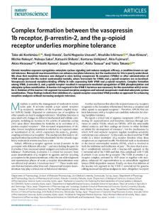 nn.2018-Complex formation between the vasopressin 1b receptor, β-arrestin-2, and the μ-opioid receptor underlies morphine tolerance