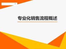 專業化銷售流程