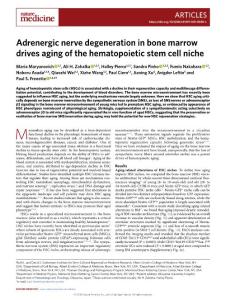 nm.2018-Adrenergic nerve degeneration in bone marrow drives aging of the hematopoietic stem cell niche