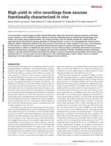 nprot.2018.026-High-yield in vitro recordings from neurons functionally characterized in vivo