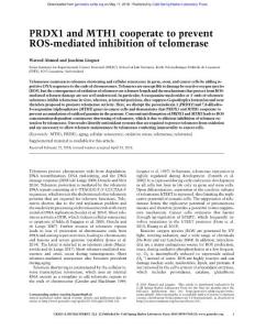 Genes Dev.-2018-Ahmed-PRDX1 and MTH1 cooperate to prevent ROS-mediated inhibition of telomerase