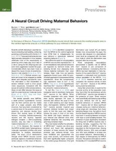 A-Neural-Circuit-Driving-Maternal-Behaviors_2018_Neuron