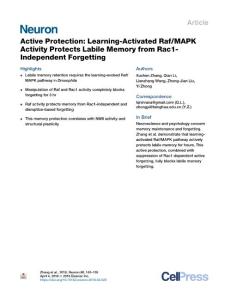 Active-Protection--Learning-Activated-Raf-MAPK-Activity-Protects-La_2018_Neu