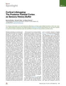Cortical-Lifelogging--The-Posterior-Parietal-Cortex-as-Sensory-Hi_2018_Neuro
