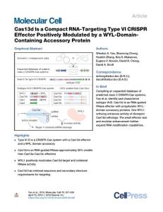 Cas13d-Is-a-Compact-RNA-Targeting-Type-VI-CRISPR-Effector-Posit_2018_Molecul