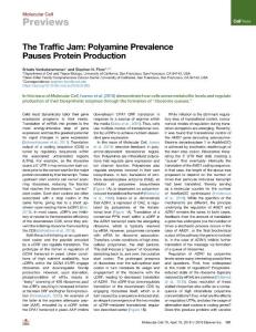 The-Traffic-Jam--Polyamine-Prevalence-Pauses-Protein-Produ_2018_Molecular-Ce