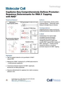 CapZyme-Seq-Comprehensively-Defines-Promoter-Sequence-Determin_2018_Molecula