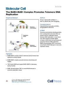 The-BUB3-BUB1-Complex-Promotes-Telomere-DNA-Replication_2018_Molecular-Cell