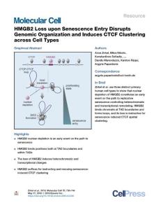 HMGB2-Loss-upon-Senescence-Entry-Disrupts-Genomic-Organization_2018_Molecula