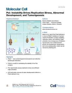 Pol--Instability-Drives-Replication-Stress--Abnormal-Develop_2018_Molecular-