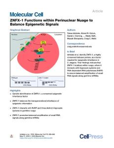 ZNFX-1-Functions-within-Perinuclear-Nuage-to-Balance-Epigen_2018_Molecular-C
