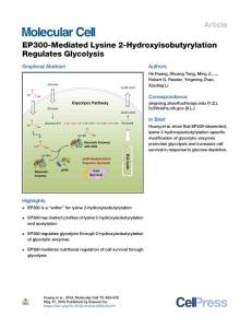 EP300-Mediated-Lysine-2-Hydroxyisobutyrylation-Regulates-G_2018_Molecular-Ce