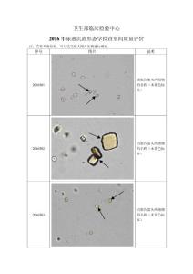 2016年卫生部尿液有型成分形态学检查室间质量评价