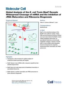 Global-Analysis-of-the-E--coli-Toxin-MazF-Reveals-Widespread-Cle_2018_Molecu