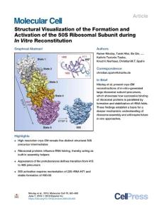 Structural-Visualization-of-the-Formation-and-Activation-of-the_2018_Molecul
