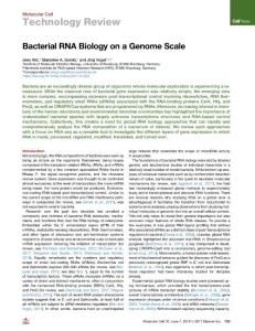 Bacterial-RNA-Biology-on-a-Genome-Scale_2018_Molecular-Cell