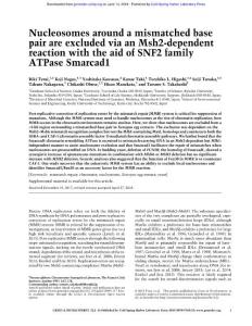 Genes Dev.-2018-Terui-Nucleosomes around a mismatched base pair are excluded via an Msh2-dependent reaction with the aid of SNF2 family ATPase Smarcad1