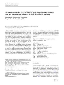 【OsDREB1F】Overexpression of a rice OsDREB1F gene increases salt, drought, and low temperature tolerance in both Arabidopsis and rice