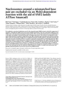 Genes Dev.-2018-Terui-806-21-Nucleosomes around a mismatched base pair are excluded via an Msh2-dependent reaction with the aid of SNF2 family ATPase Smarcad1