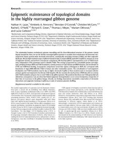 Genome Res.-2018-Lazar-Epigenetic maintenance of topological domains in the highly rearranged gibbon genome