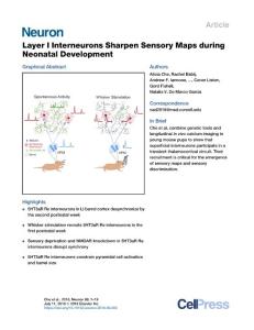 Layer-I-Interneurons-Sharpen-Sensory-Maps-during-Neonatal-Develop_2018_Neuro