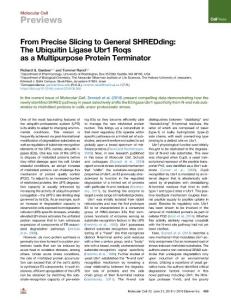 From-Precise-Slicing-to-General-SHREDding--The-Ubiquitin-Ligase_2018_Molecul