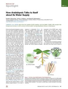 How-Arabidopsis-Talks-to-Itself-about-Its-Water-Supply_2018_Molecular-Cell
