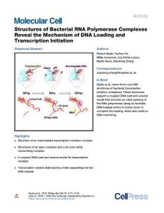 Structures-of-Bacterial-RNA-Polymerase-Complexes-Reveal-the-Mec_2018_Molecul