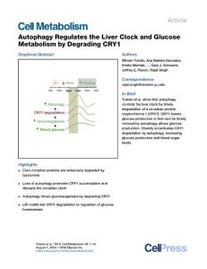 Autophagy-Regulates-the-Liver-Clock-and-Glucose-Metabolism-_2018_Cell-Metabo