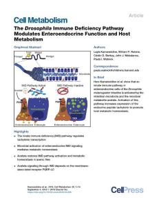 The-Drosophila-Immune-Deficiency-Pathway-Modulates-Enteroendo_2018_Cell-Meta