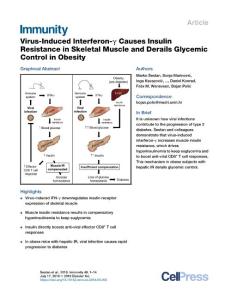 Virus-Induced-Interferon---Causes-Insulin-Resistance-in-Skeletal-M_2018_Immu