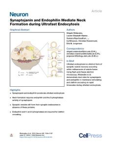 Synaptojanin-and-Endophilin-Mediate-Neck-Formation-during-Ultrafas_2018_Neur