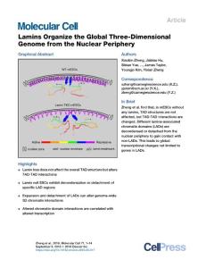 Lamins-Organize-the-Global-Three-Dimensional-Genome-from-the_2018_Molecular-