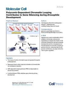 Polycomb-Dependent-Chromatin-Looping-Contributes-to-Gene-Silen_2018_Molecula