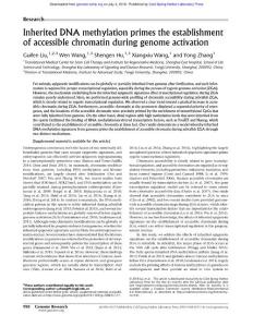 Genome Res.-2018-Liu-998-1007-Inherited DNA methylation primes the establishment of accessible chromatin during genome activation