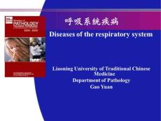 呼吸系統(tǒng)疾病 PPT課件