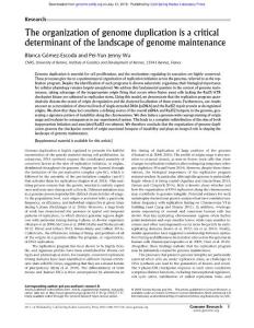 Genome Res.-2018-G髆ez-Escoda-The organization of genome duplication is a critical determinant of the landscape of genome maintenance