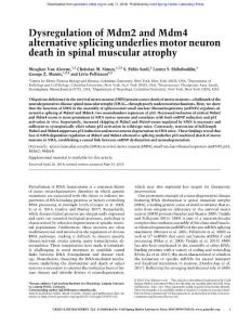 Genes Dev.-2018-Van Alstyne-Dysregulation of Mdm2 and Mdm4 alternative splicing underlies motor neuron death in spinal muscular atrophy