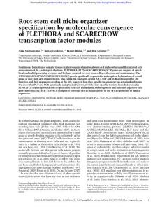 Genes Dev.-2018-Shimotohno-Root stem cell niche organizer specification by molecular convergence of PLETHORA and SCARECROW transcription factor modules