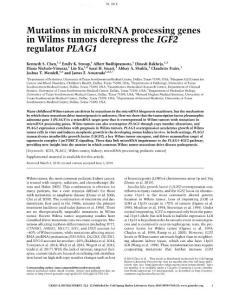 Genes Dev.-2018-Chen-Mutations in microRNA processing genes in Wilms tumors derepress the IGF2 regulator PLAG1