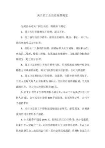 关于员工公出差旅费规定