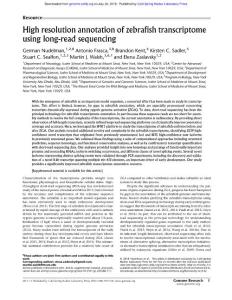 Genome Res.-2018-Nudelman-High resolution annotation of zebrafish transcriptome using long-read sequencing