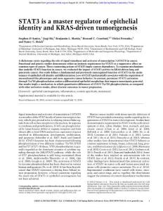 Genes Dev.-2018-D´Amico-STAT3 is a master regulator of epithelial identity and KRAS-driven tumorigenesis