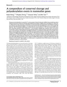 Genome Res.-2018-Wang-A compendium of conserved cleavage and polyadenylation events in mammalian genes