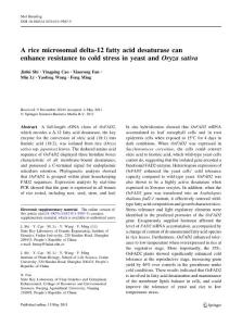 【OsFAD2】A rice microsomal delta-12 fatty acid desaturase can enhance resistance to cold stress in yeast and Oryza sativa