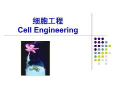 細胞工程課件
