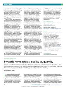 nn.2018-Synaptic homeostasis- quality vs. quantity