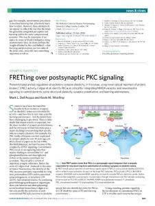 nn.2018-FRETting over postsynaptic PKC signaling