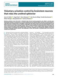 nn.2018-Voluntary urination control by brainstem neurons that relax the urethral sphincter